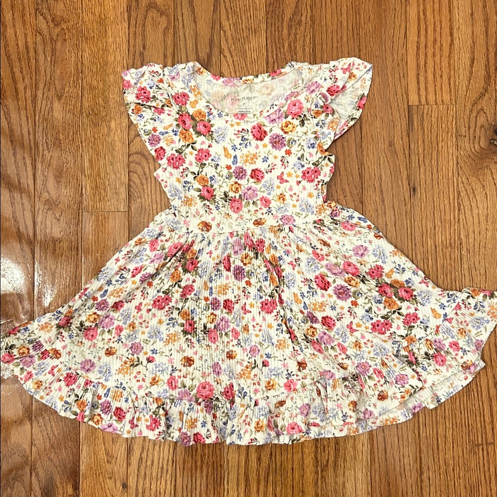 Posh Peanut Elena Floral Ruffle Sleeve Dress-2T